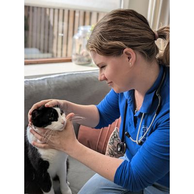 Thuisdierendokter - Dierenarts aan huis regio Zuid-Holland