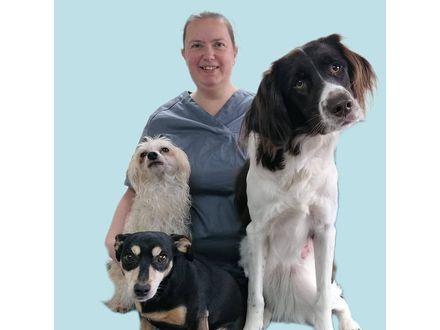 Mijn mobiele dierenarts